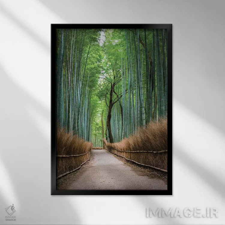 تابلو دکوراتیو Japan,جنگل بامبو آراشی یاما در کیوتو، ژاپن اثر یان بکه - نمای قابدار مشکی