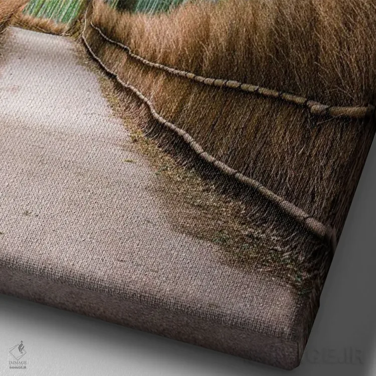 تابلو دکوراتیو Japan,جنگل بامبو آراشی یاما در کیوتو، ژاپن اثر یان بکه - نمای نزدیک بافت بوم