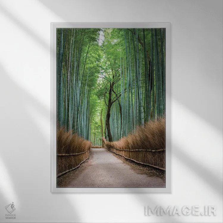 تابلو دکوراتیو Japan,جنگل بامبو آراشی یاما در کیوتو، ژاپن اثر یان بکه - نمای قابدار سفید