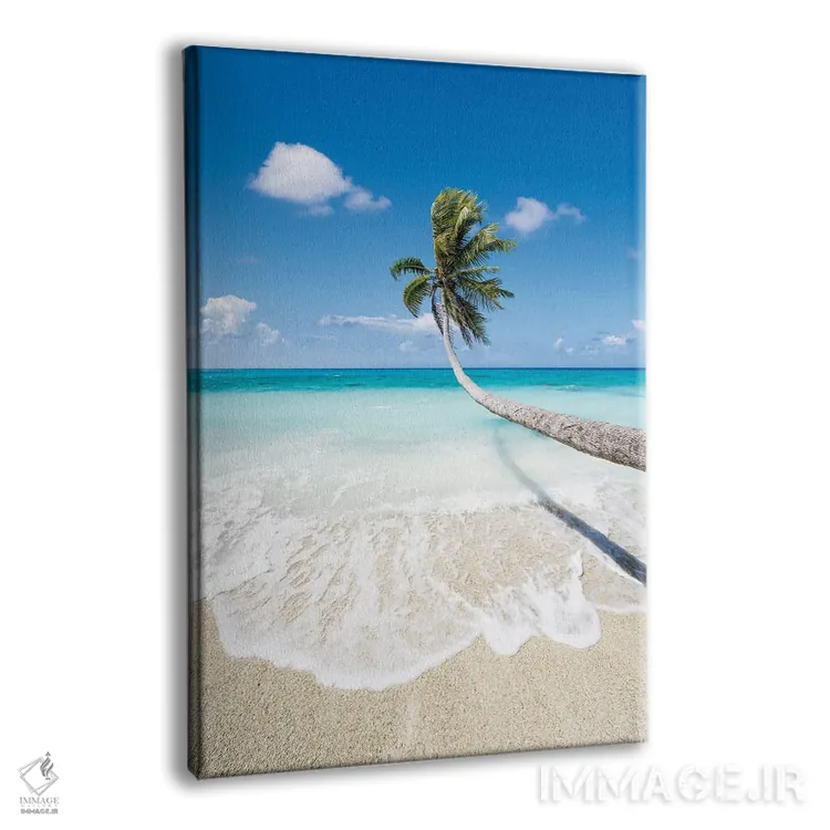 تابلو دکوراتیو درخت نخل آویزان بر ساحل زیبای استوایی اثر یان بکه - نمای پرسپکتیو محصول