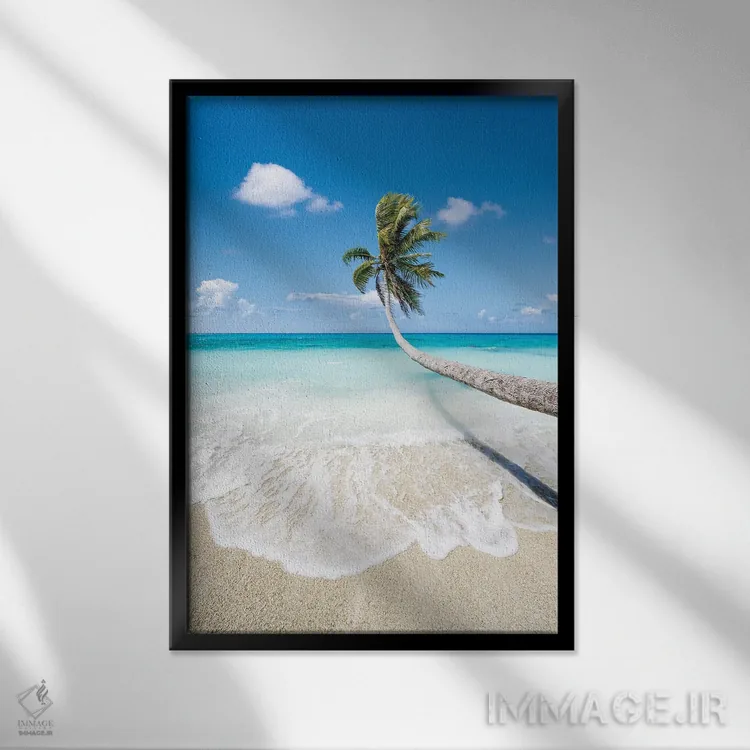تابلو دکوراتیو درخت نخل آویزان بر ساحل زیبای استوایی اثر یان بکه - نمای قابدار مشکی