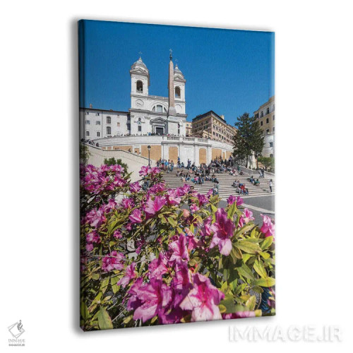 تابلو دکوراتیو Rome, Italy,گلهای آزالیا در بهار در پلکان اسپانیایی، رم، ایتالی… اثر یان بکه - نمای پرسپکتیو محصول