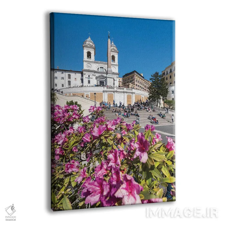 تابلو دکوراتیو Rome, Italy,گلهای آزالیا در بهار در پلکان اسپانیایی، رم، ایتالی… اثر یان بکه - نمای پرسپکتیو محصول