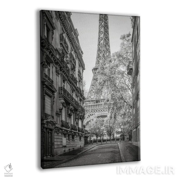 تابلو دکوراتیو France,خیابان با دید برج ایفل، پاریس، فرانسه اثر یان بکه - نمای پرسپکتیو محصول