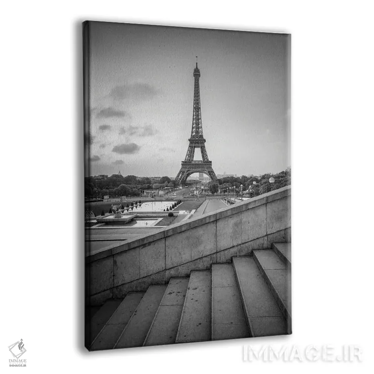 تابلو دکوراتیو باغ های تروکادرو و برج ایفل به صورت سیاه و سفید اثر یان بکه - نمای پرسپکتیو محصول