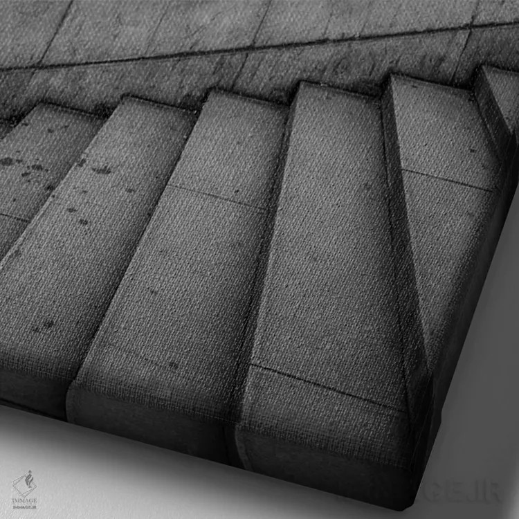 تابلو دکوراتیو باغ های تروکادرو و برج ایفل به صورت سیاه و سفید اثر یان بکه - نمای نزدیک بافت بوم