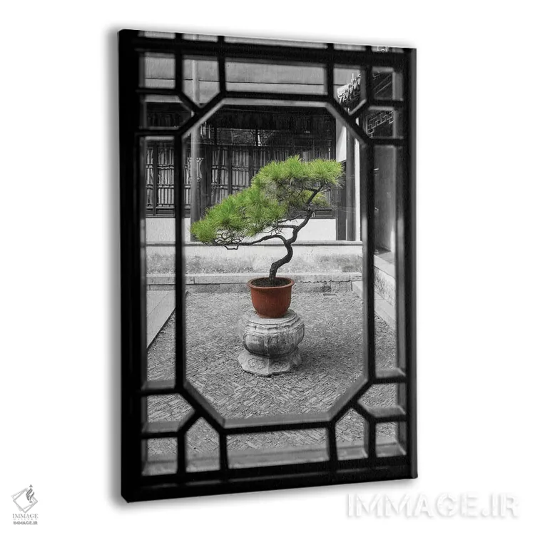 تابلو دکوراتیو درخت بونسای کاج به عنوان باغ اثر یان بکه - نمای پرسپکتیو محصول