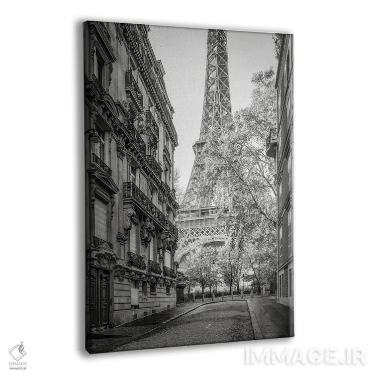 تابلو دکوراتیو France,خیابان با دید برج ایفل، پاریس، فرانسه اثر یان بکه - نمای پرسپکتیو محصول