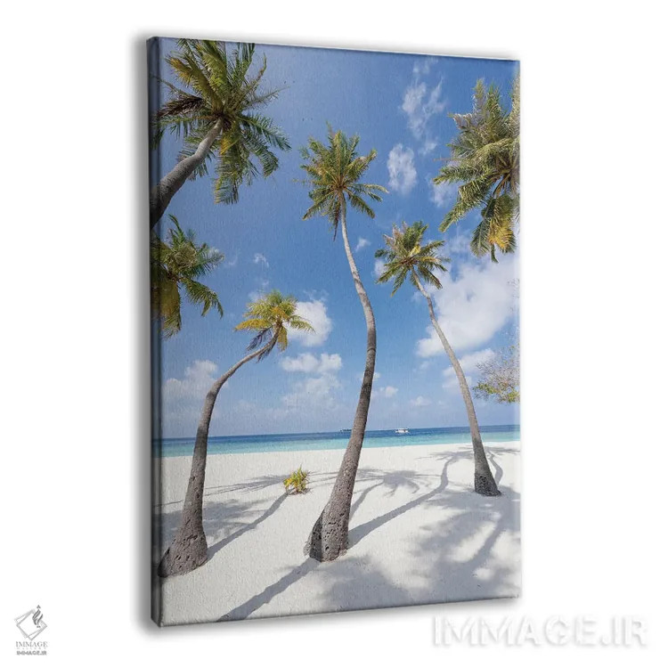 تابلو دکوراتیو Maldives,درختان نخل در ساحل، مالدیو اثر یان بکه - نمای پرسپکتیو محصول