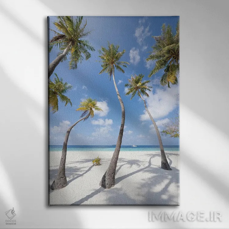تابلو دکوراتیو Maldives,درختان نخل در ساحل، مالدیو اثر یان بکه - نمای روبهرو روی دیوار