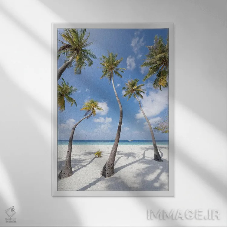 تابلو دکوراتیو Maldives,درختان نخل در ساحل، مالدیو اثر یان بکه - نمای قابدار سفید