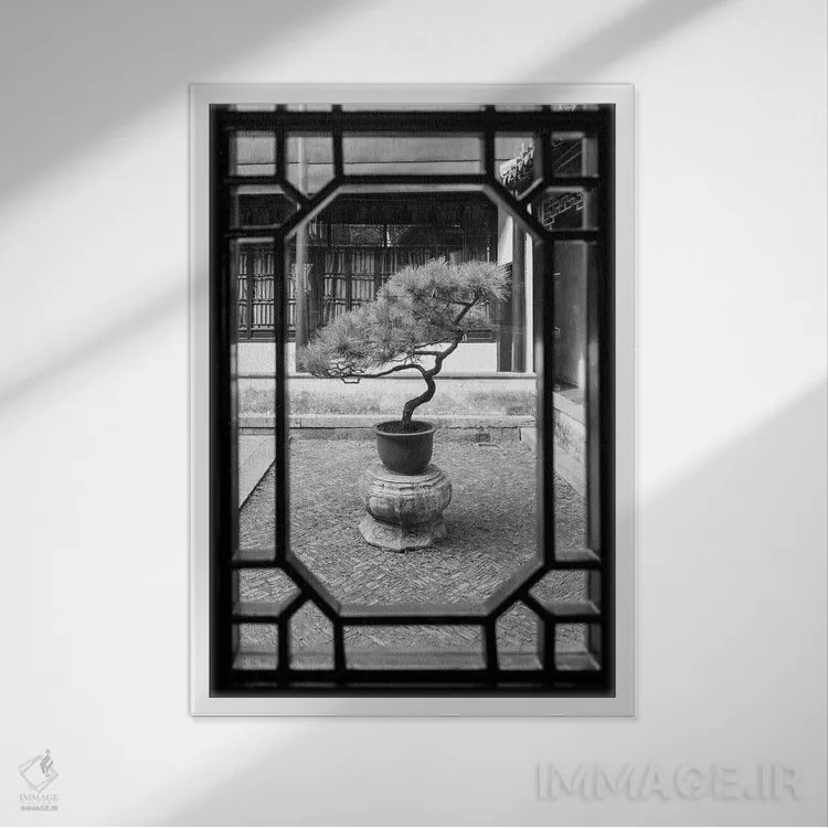 تابلو دکوراتیو درخت بونسای در یک باغ سنتی چینی اثر یان بکه - نمای قابدار سفید