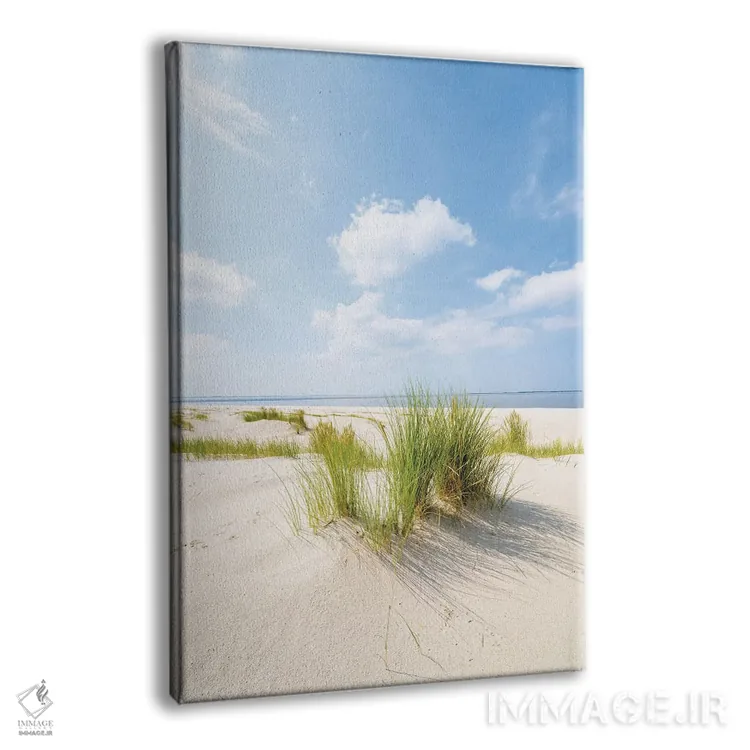 تابلو دکوراتیو روز آفتابی در ساحل تپه شنی اثر یان بکه - نمای پرسپکتیو محصول