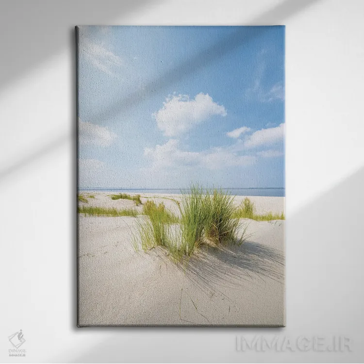 تابلو دکوراتیو روز آفتابی در ساحل تپه شنی اثر یان بکه - نمای روبهرو روی دیوار