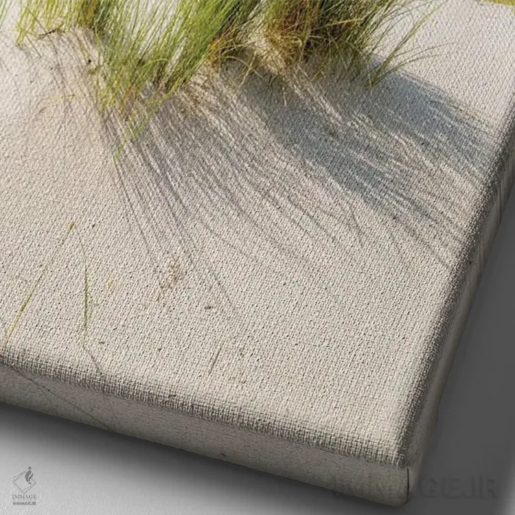 تابلو دکوراتیو روز آفتابی در ساحل تپه شنی اثر یان بکه - نمای نزدیک بافت بوم