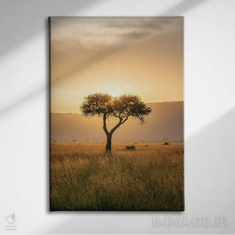 تابلو دکوراتیو Maasai Mara , Kenya, Africa,درخت آکاسیا هنگام غروب خورشید، ماسا… اثر یان بکه - نمای روبهرو روی دیوار