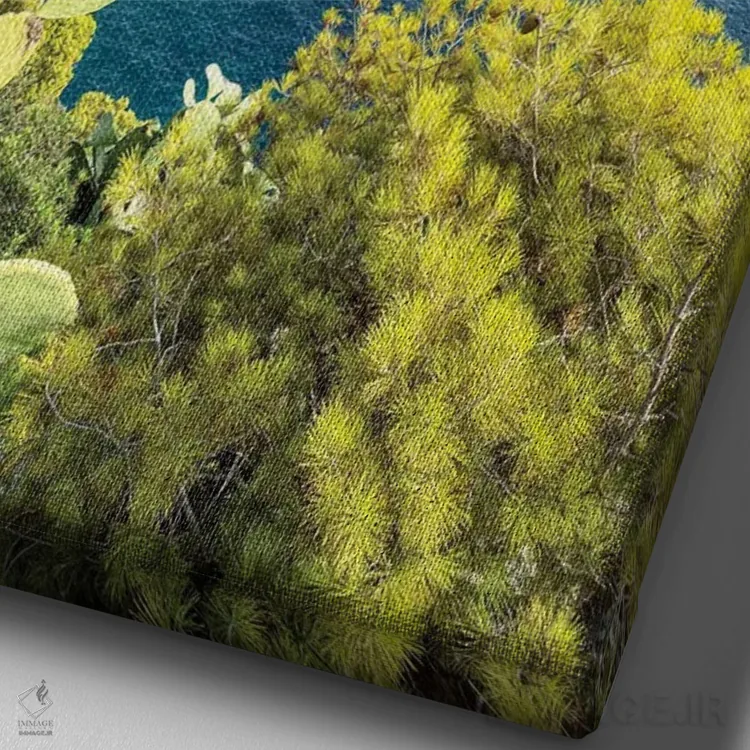 تابلو دکوراتیو Capri Island, Italy,صخره های فاراگلیونی از باغ های آگوستوس، جزی… اثر یان بکه - نمای نزدیک بافت بوم