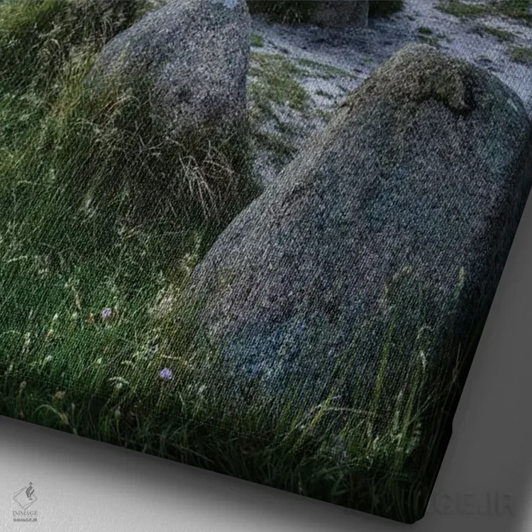 تابلو دکوراتیو Sylt, Schleswig-Holstein, Germany,آرامگاه سنگی تاریخی هارهوق در… اثر یان بکه - نمای نزدیک بافت بوم