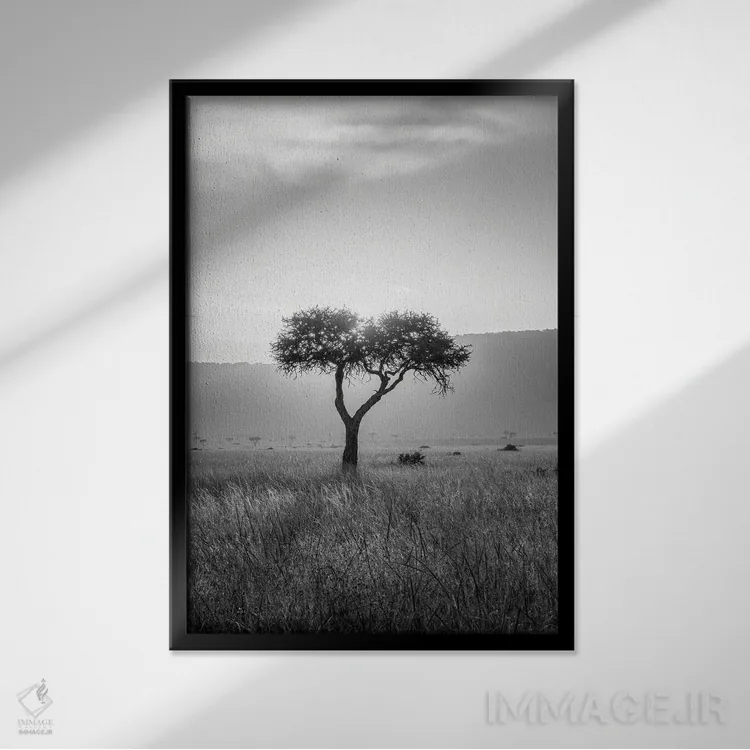 تابلو دکوراتیو Maasai Mara , Kenya, Africa,درخت آکاسیا ، ماسایی مارا، کنیا، آف… اثر یان بکه - نمای قابدار مشکی