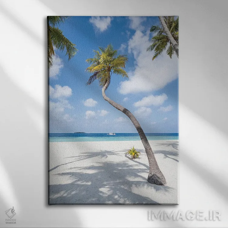 تابلو دکوراتیو Maldives,درخت نخل در ساحل، مالدیو اثر یان بکه - نمای روبهرو روی دیوار