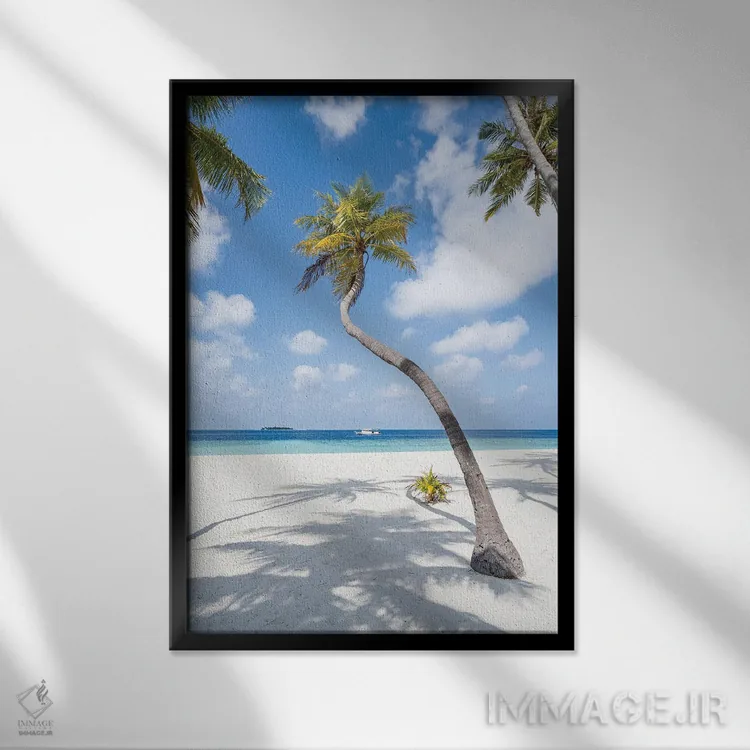 تابلو دکوراتیو Maldives,درخت نخل در ساحل، مالدیو اثر یان بکه - نمای قابدار مشکی