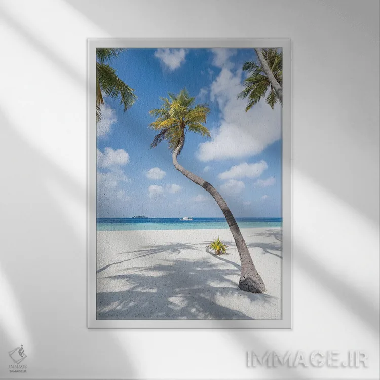 تابلو دکوراتیو Maldives,درخت نخل در ساحل، مالدیو اثر یان بکه - نمای قابدار سفید