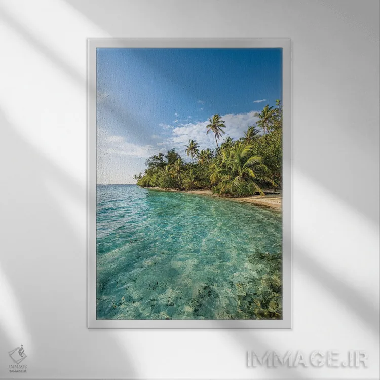 تابلو دکوراتیو جزیره گرمسیری با درختان نخل در مالدیو اثر یان بکه - نمای قابدار سفید