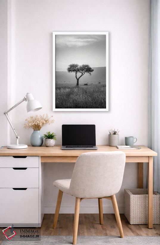 تابلو دکوراتیو Maasai Mara , Kenya, Africa,درخت آکاسیا ، ماسایی مارا، کنیا، آف… اثر یان بکه - D4W