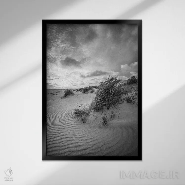 تابلو دکوراتیو منظره تپه های شنی با چمن ساحلی اثر یان بکه - نمای قابدار مشکی