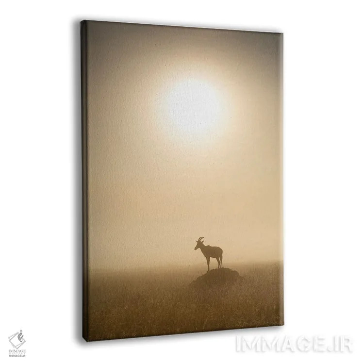 تابلو دکوراتیو Maasai Mara , Kenya,آهوی توپـی موقع طلوع، ماسایی مارا ، کنیا اثر یان بکه - نمای پرسپکتیو محصول