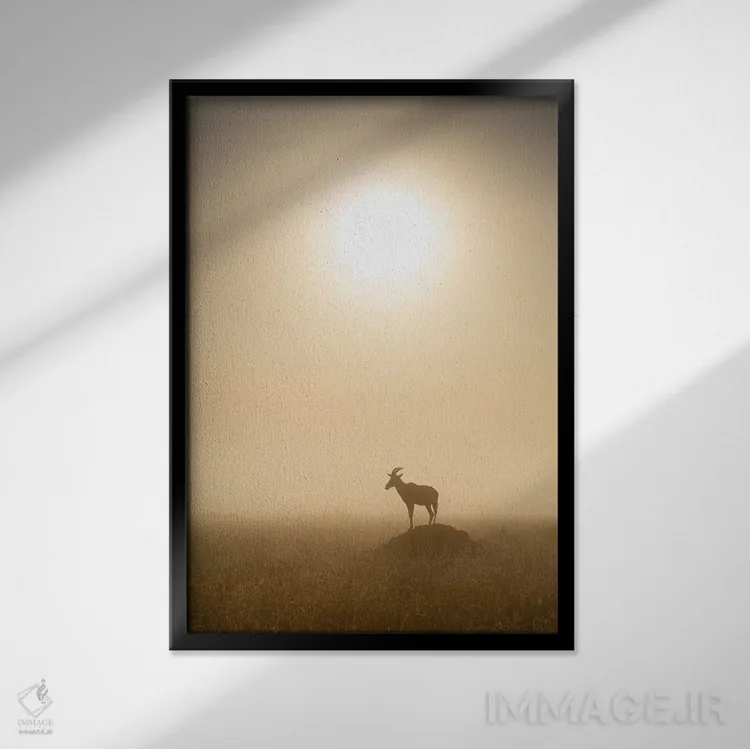 تابلو دکوراتیو Maasai Mara , Kenya,آهوی توپـی موقع طلوع، ماسایی مارا ، کنیا اثر یان بکه - نمای قابدار مشکی