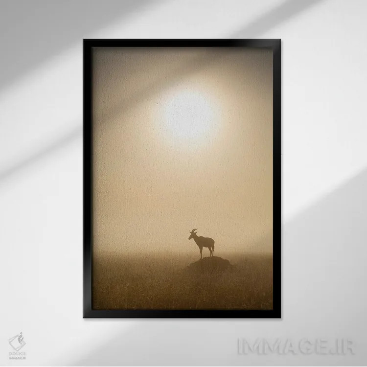 تابلو دکوراتیو Maasai Mara , Kenya,آهوی توپـی موقع طلوع، ماسایی مارا ، کنیا اثر یان بکه - نمای قابدار مشکی