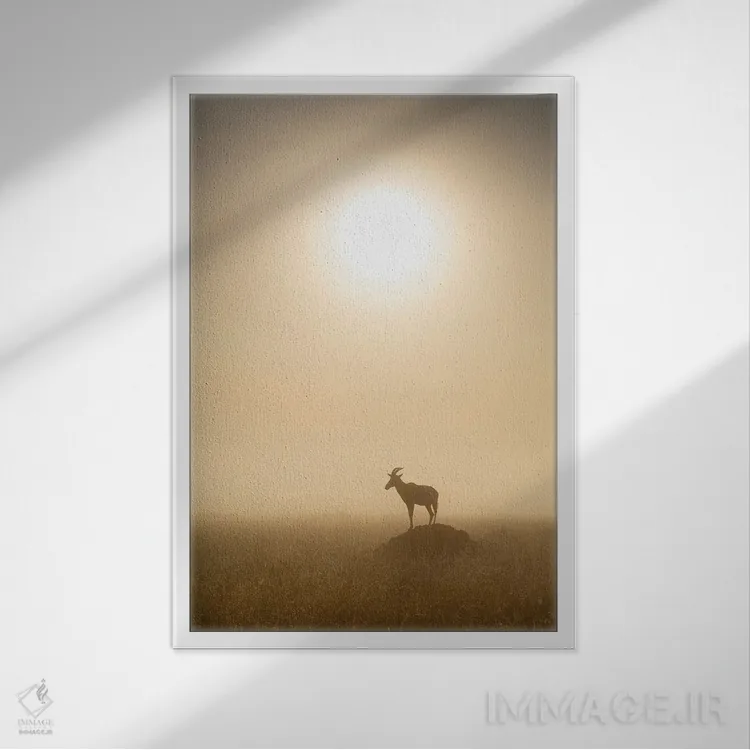 تابلو دکوراتیو Maasai Mara , Kenya,آهوی توپـی موقع طلوع، ماسایی مارا ، کنیا اثر یان بکه - نمای قابدار سفید