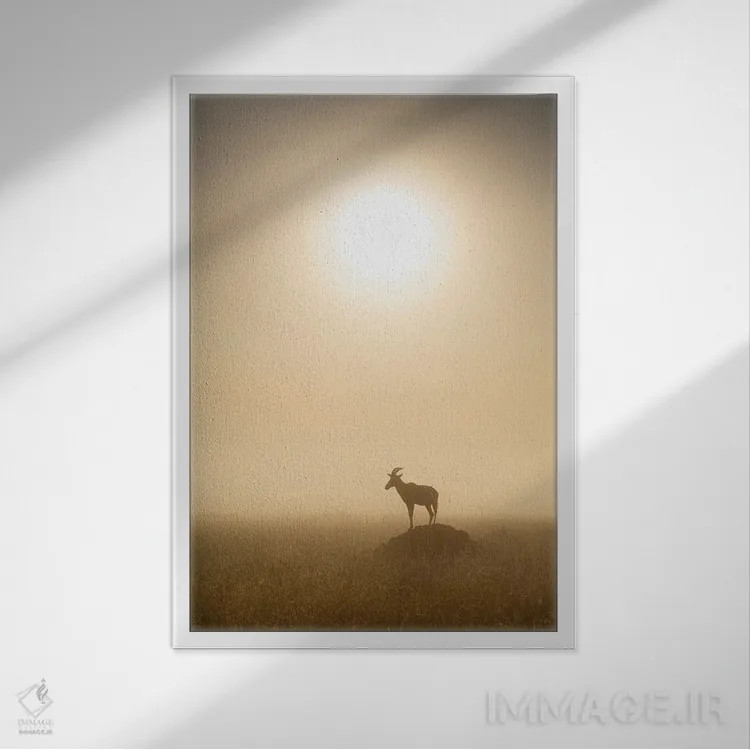 تابلو دکوراتیو Maasai Mara , Kenya,آهوی توپـی موقع طلوع، ماسایی مارا ، کنیا اثر یان بکه - نمای قابدار سفید