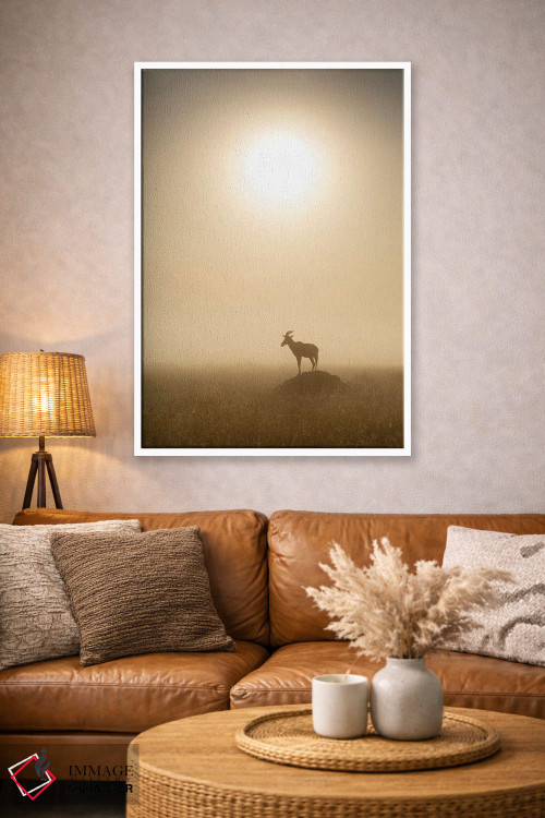 تابلو دکوراتیو Maasai Mara , Kenya,آهوی توپـی موقع طلوع، ماسایی مارا ، کنیا اثر یان بکه - D3W