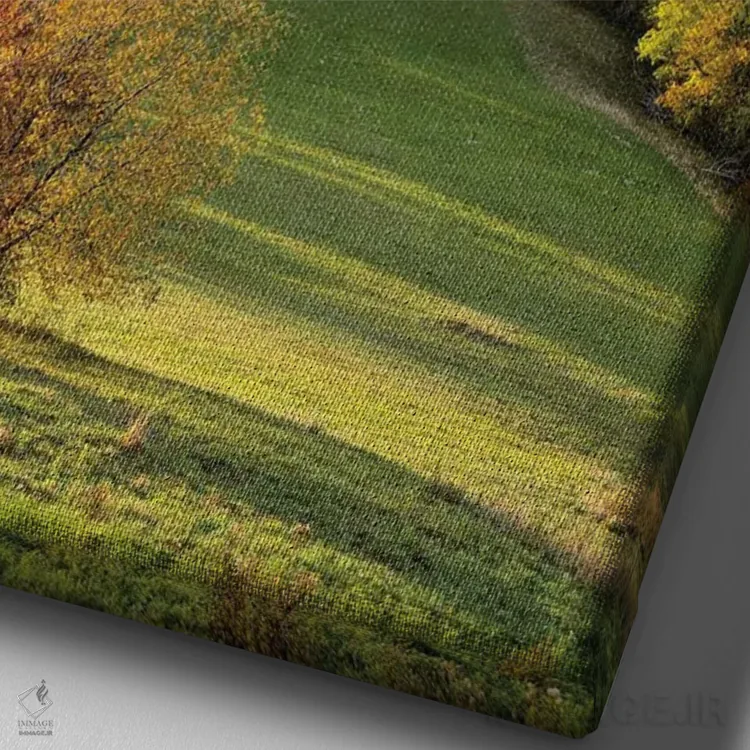تابلو دکوراتیو Swabian Jura, Germany,قلعه هوهنتسولرن هنگام غروب آفتاب در فصل پ… اثر یان بکه - نمای نزدیک بافت بوم