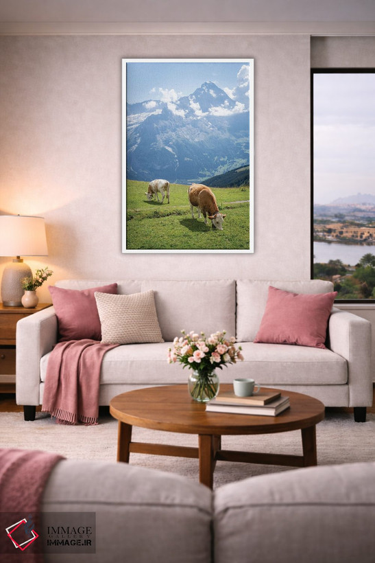 تابلو دکوراتیو Swiss Alps Near Grindelwald, Swiss Alps, Switzerland,گاوهای در… اثر یان بکه - D3W