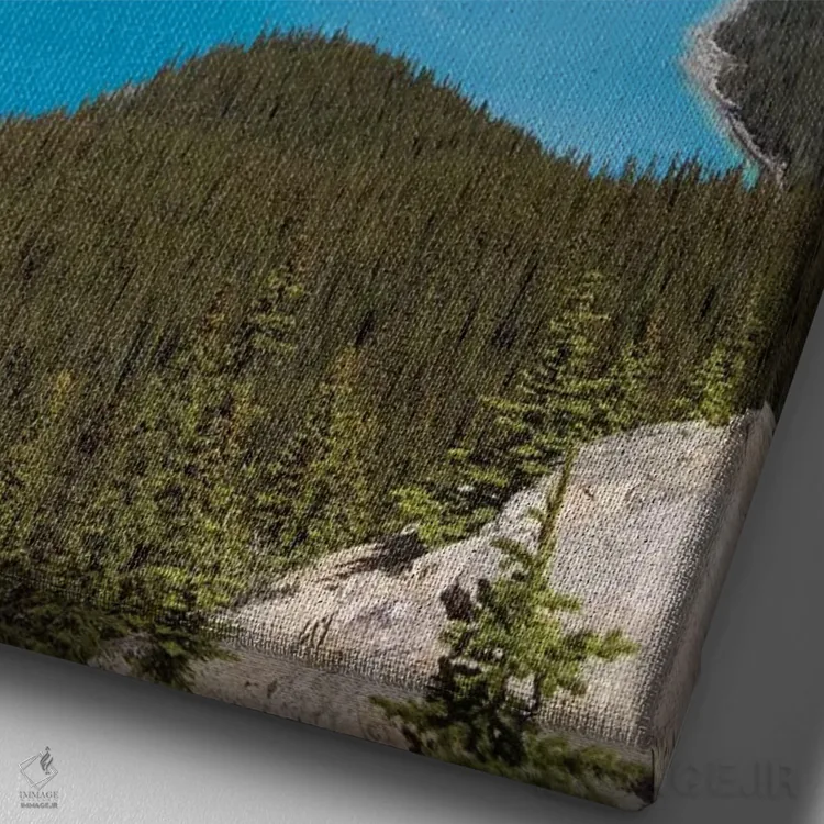 تابلو دکوراتیو Banff National Park, Alberta, Canada,دریاچه پیتو در امتداد ج… اثر جنت هورتون - نمای نزدیک بافت بوم