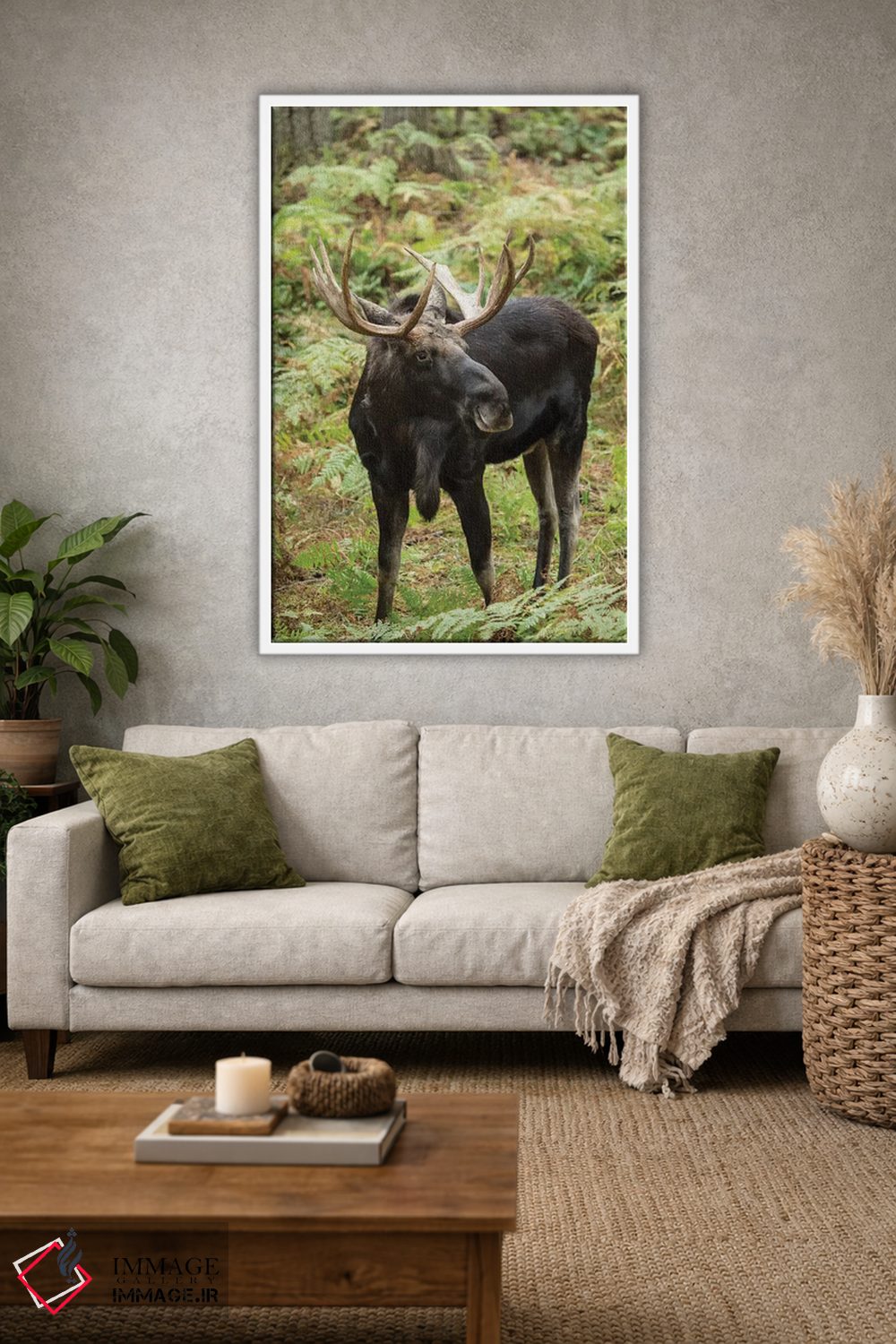 تابلو دکوراتیو Eatonville, Washington, USA,گوزن شمالی نر در پارک حیات وحش ن… اثر جنت هورتون - D1W