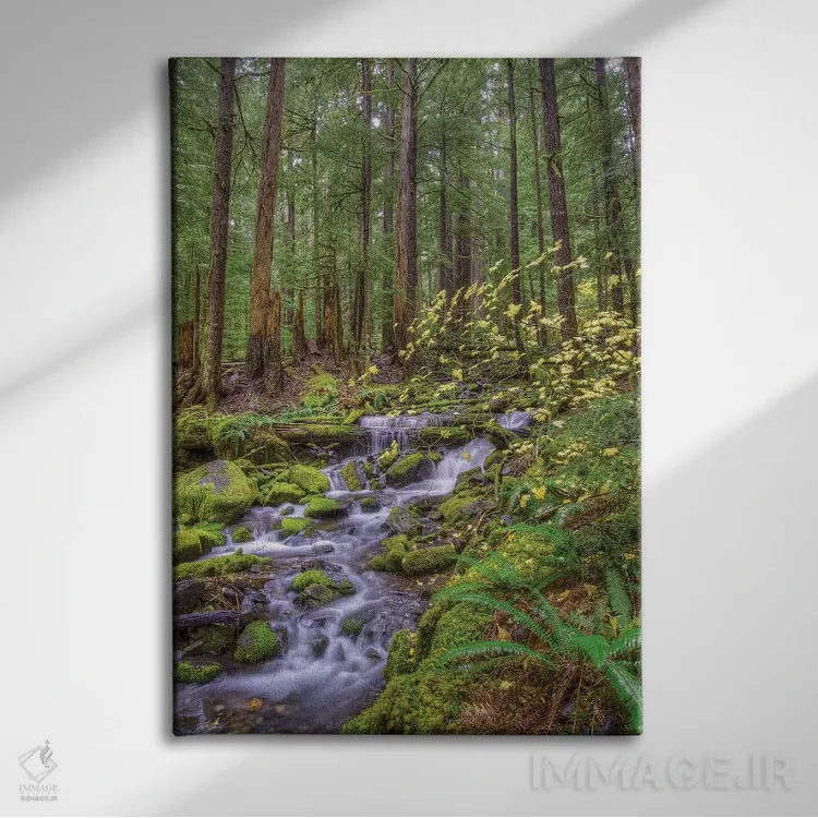 تابلو دکوراتیو Sol Duc River Valley, Olympic National Park, Washington… اثر جونز و شیملاک - نمای روبهرو روی دیوار