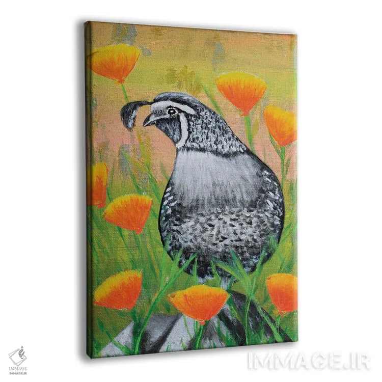 تابلو دکوراتیو بلدرچین کالیفرنیا و شقایق ها اثر جونیر ناوارو - نمای پرسپکتیو محصول