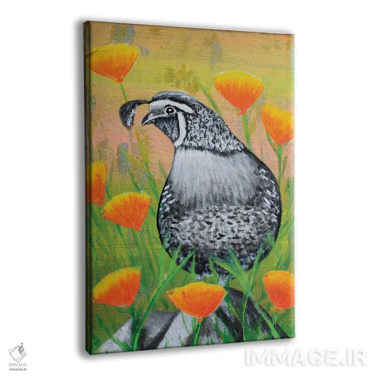 تابلو دکوراتیو بلدرچین کالیفرنیا و شقایق ها اثر جونیر ناوارو - نمای پرسپکتیو محصول