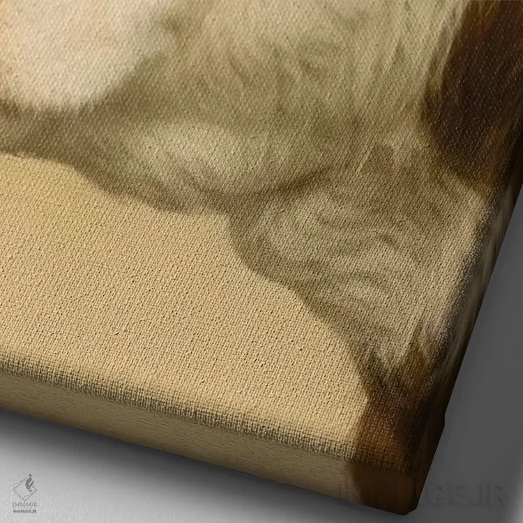 تابلو دکوراتیو La Conner, Washington, USA,نمای نزدیک از گاو هرفورد در چراگا… اثر جنت هورتون - نمای نزدیک بافت بوم