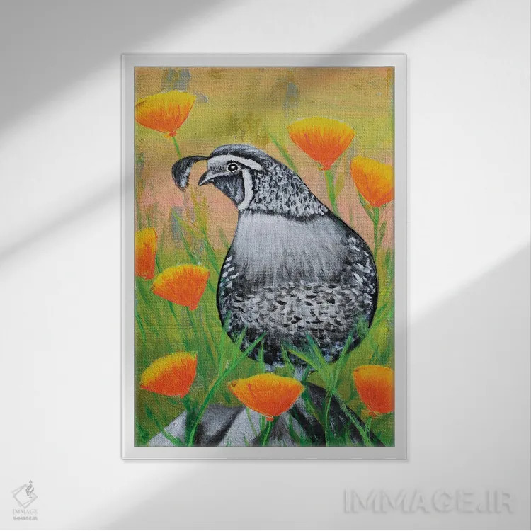 تابلو دکوراتیو بلدرچین کالیفرنیا و شقایق ها اثر جونیر ناوارو - نمای قابدار سفید