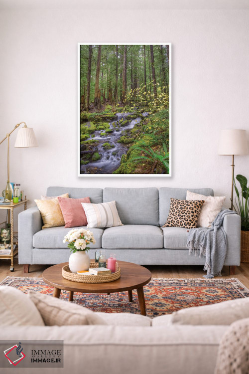 تابلو دکوراتیو Sol Duc River Valley, Olympic National Park, Washington… اثر جونز و شیملاک - D1W