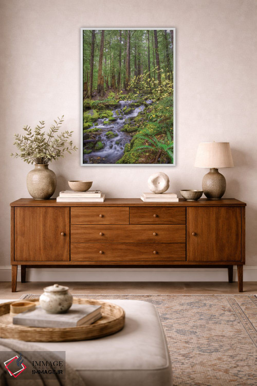 تابلو دکوراتیو Sol Duc River Valley, Olympic National Park, Washington… اثر جونز و شیملاک - D2W