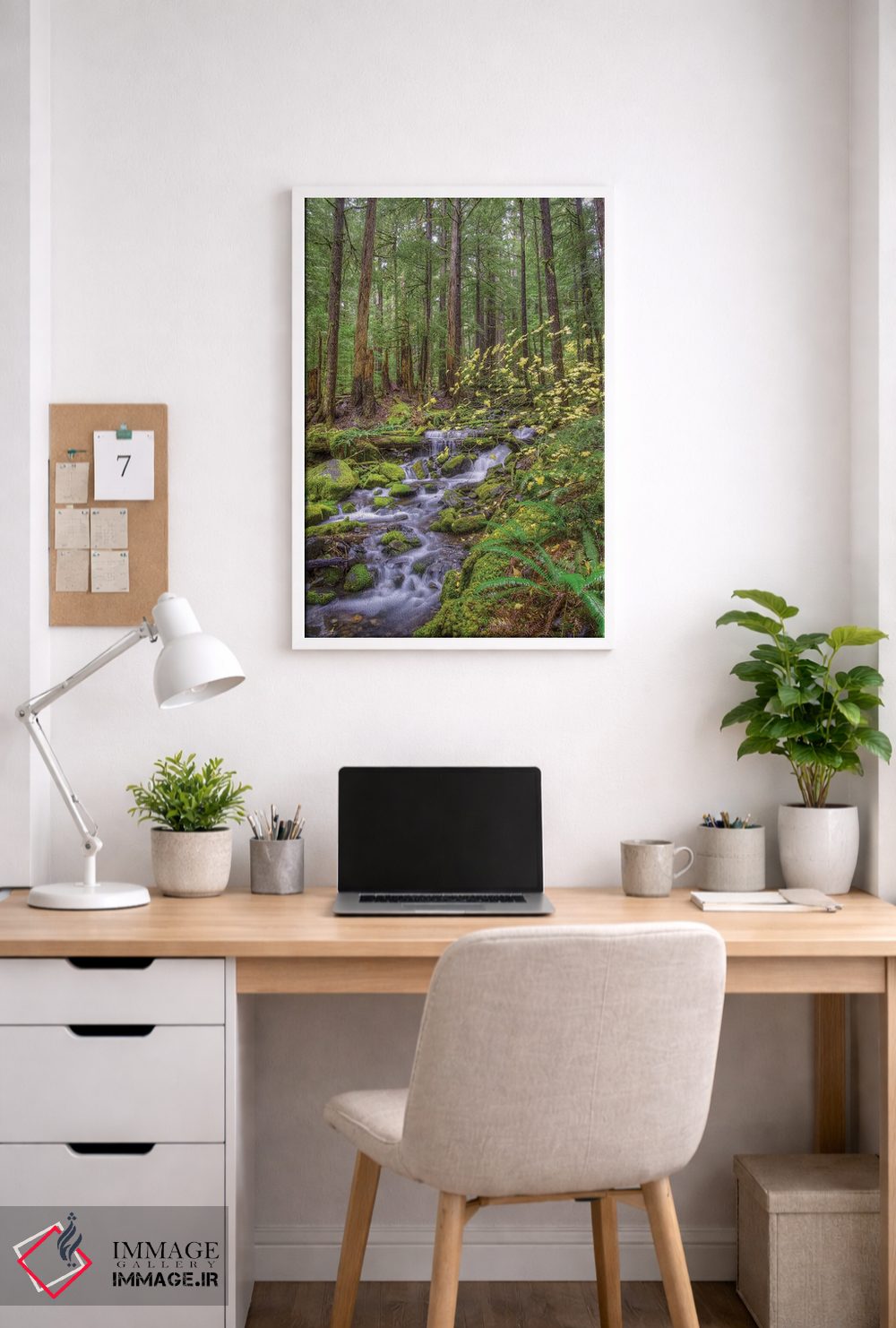 تابلو دکوراتیو Sol Duc River Valley, Olympic National Park, Washington… اثر جونز و شیملاک - D3W