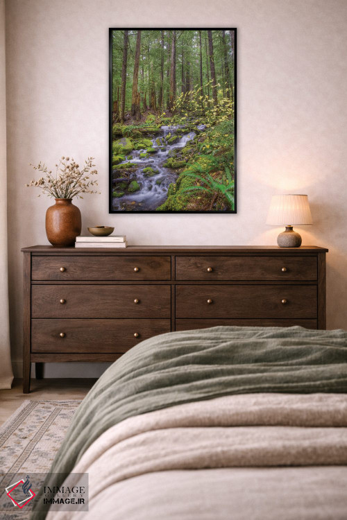 تابلو دکوراتیو Sol Duc River Valley, Olympic National Park, Washington… اثر جونز و شیملاک - D5B