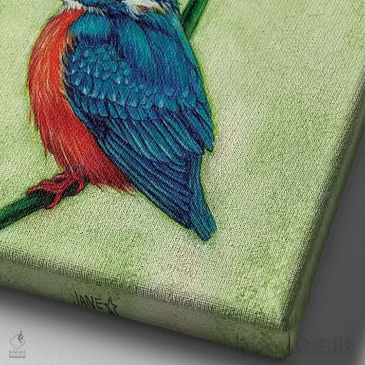 تابلو دکوراتیو مرغ ماهیخوار اثر جین استار ویلز - نمای نزدیک بافت بوم