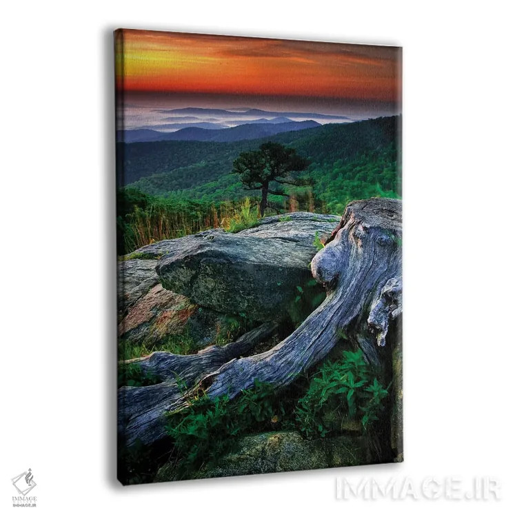 تابلو دکوراتیو Shenandoah National Park, Virginia, USA,طلوع بر فراز کوه های… اثر جی اوبراین - نمای پرسپکتیو محصول